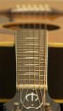 <b>Frets</b></br><i> by Larry</i>