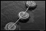 <b>Threes Afloat *</b><br><i>by dleung</i>