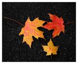 <b>Three Of A Kind</b>