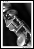 <b>Inside Music*</b><br><i>by Paul Stuckless</i>