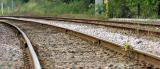 <b>Inside Track</b> *