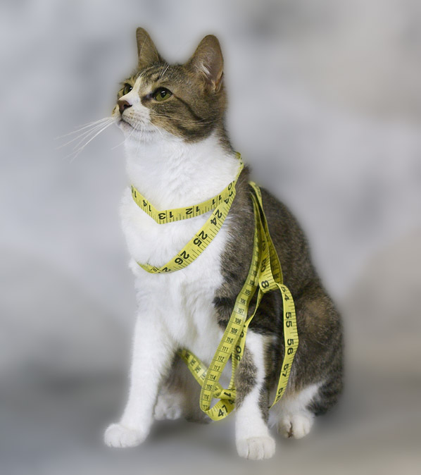 10D forum mascot.<br>Tenth Place (tie)