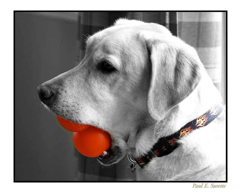 I Got Balls... by Paul E. Surette