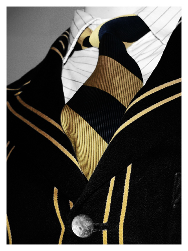 <b>Dashing!</b> *<br> by Emdee