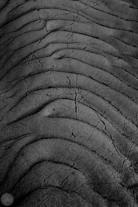 Sands of Time<BR>Aesop717