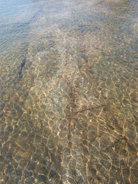 <b>Water</b>*