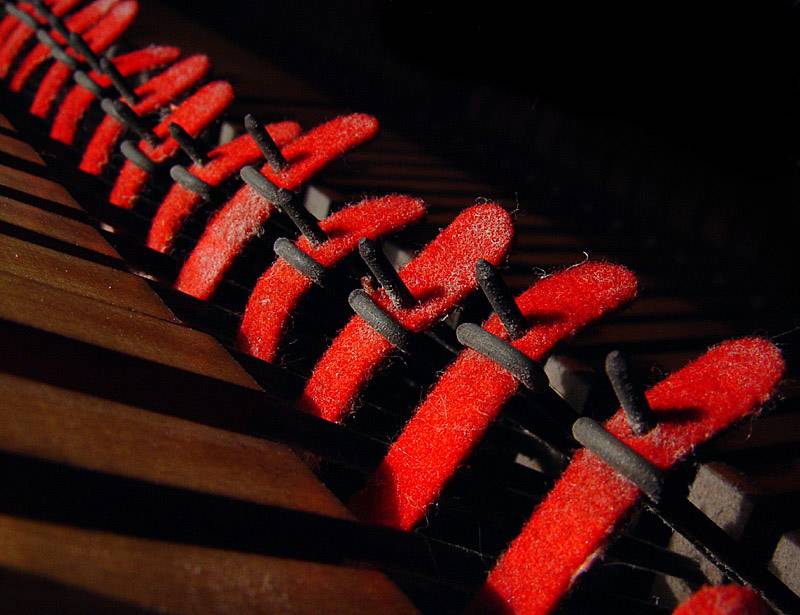 <b>Red Detail</B><br>by johnebones