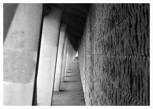 <b>The Underside</b>*<br> by emdee