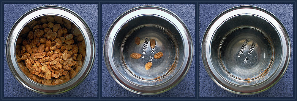 The Interior Of A Peanut Can*
