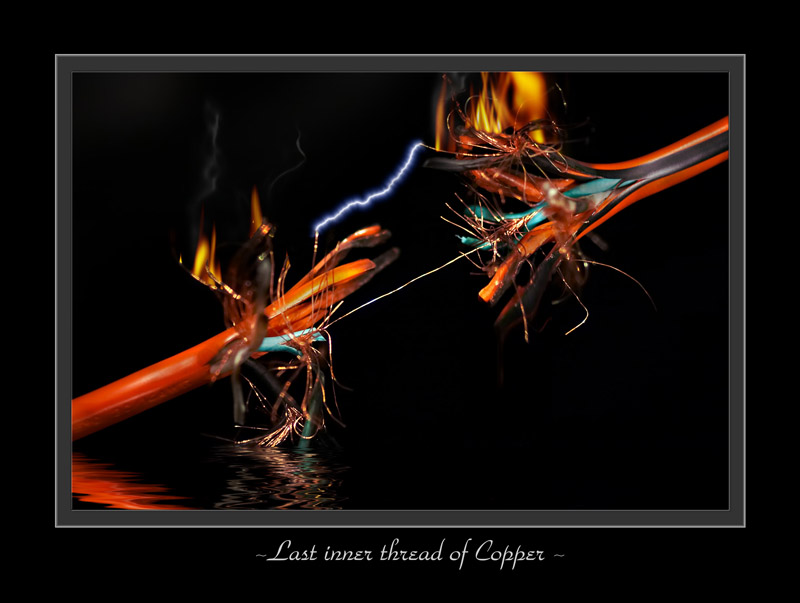 Last Inner thread of Copper<BR><FONT SIZE=-1><I>by Michael Soo</I></FONT><br><b>8th Place</b>