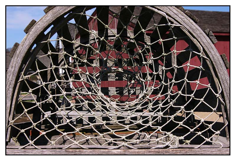 <b>Ensnared!</b>*