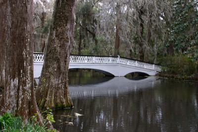 Magnolia Plantation 3