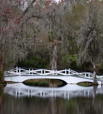 Magnolia Plantation 4