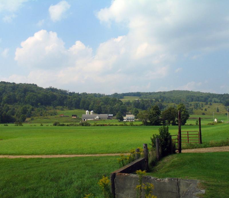 Vermont Farm *