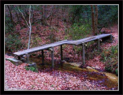 On a hiking track