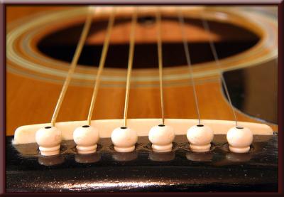 Guitar Bridge (*)