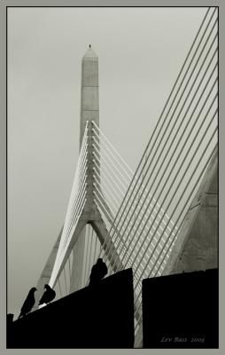 Tall tales by Zakim bridge   *