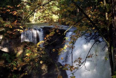 Whatcom Falls