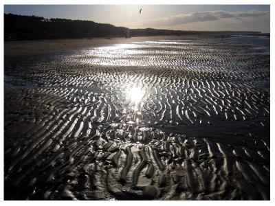 Omaha Beach (*)