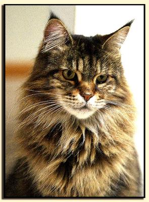 Portrait of the Queen