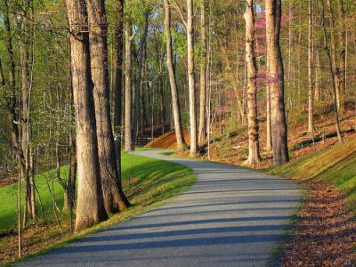 Colorful Trail *