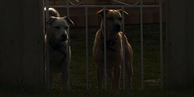 Lights out, guards on duty *