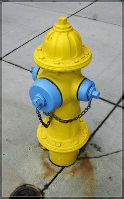 Snow Plug *