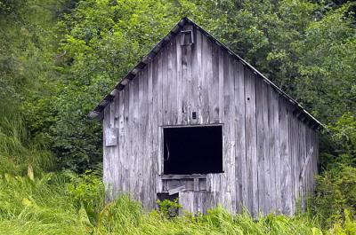 Shelter