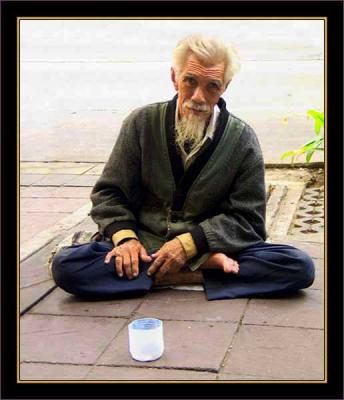 Sidewalk surviver