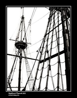 Mayflower2 - Symbol of Survival*