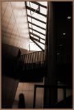 Steel Shadow (*)