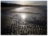 Omaha Beach (*)