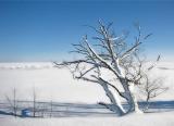 Frozen Lake