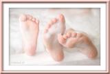 * 3 Sudsy Feet<BR>Third Place