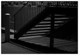 <B>Night Shadows</B><BR>*<FONT size=2>Ann Chaikin</FONT>