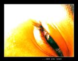 ...See You Soon (*)