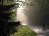 Promenade *