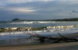 Driftwood  *