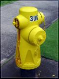<b>Pineapple Plug</b> *