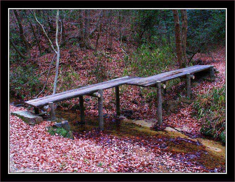 On a hiking track