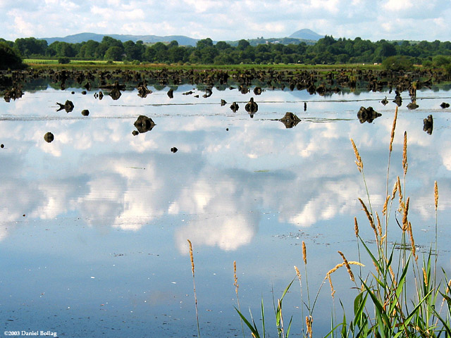 <B>Lake</B>*