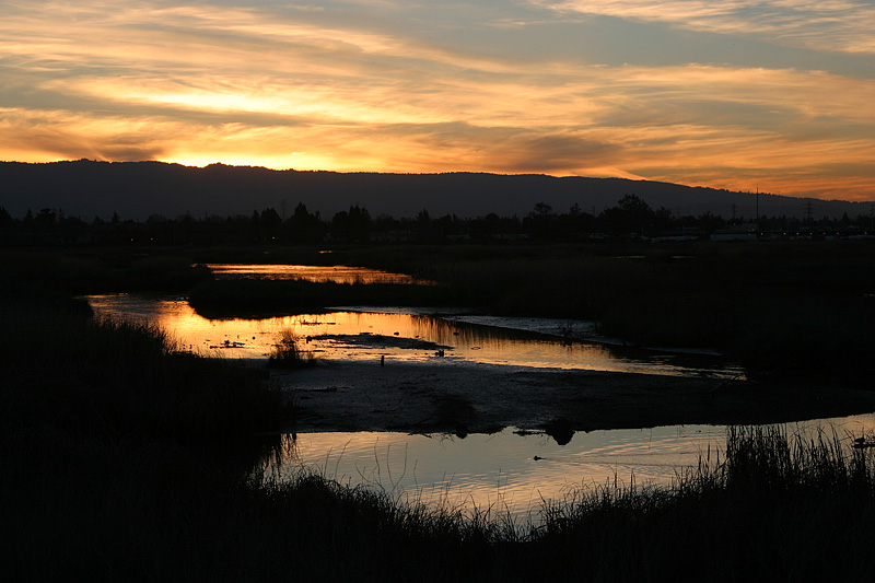 Baylands Sunset*