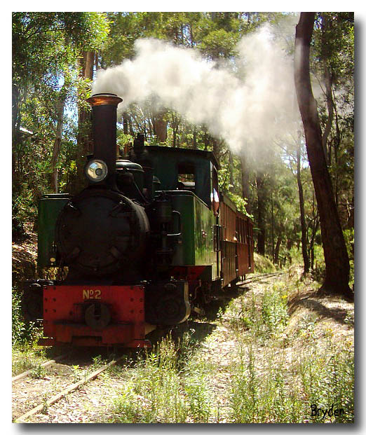 The Steam Train *