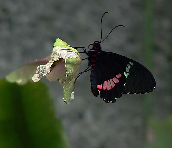 Beauty of Nature