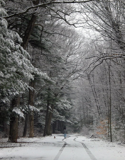 A walk in the woods *<BR>Fourth Place