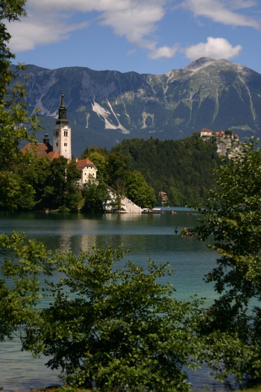 Bled *