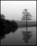 Winter Solitude.jpg