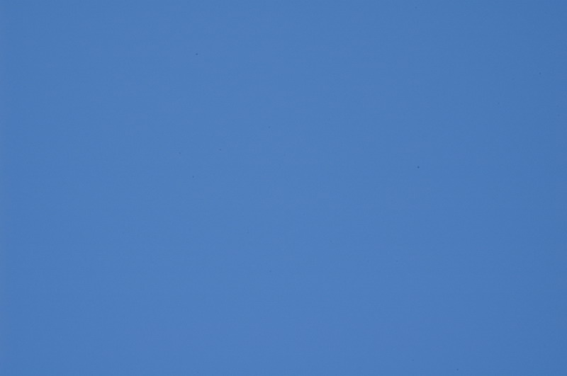 70mm f29.JPG