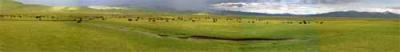 Tibet 2004