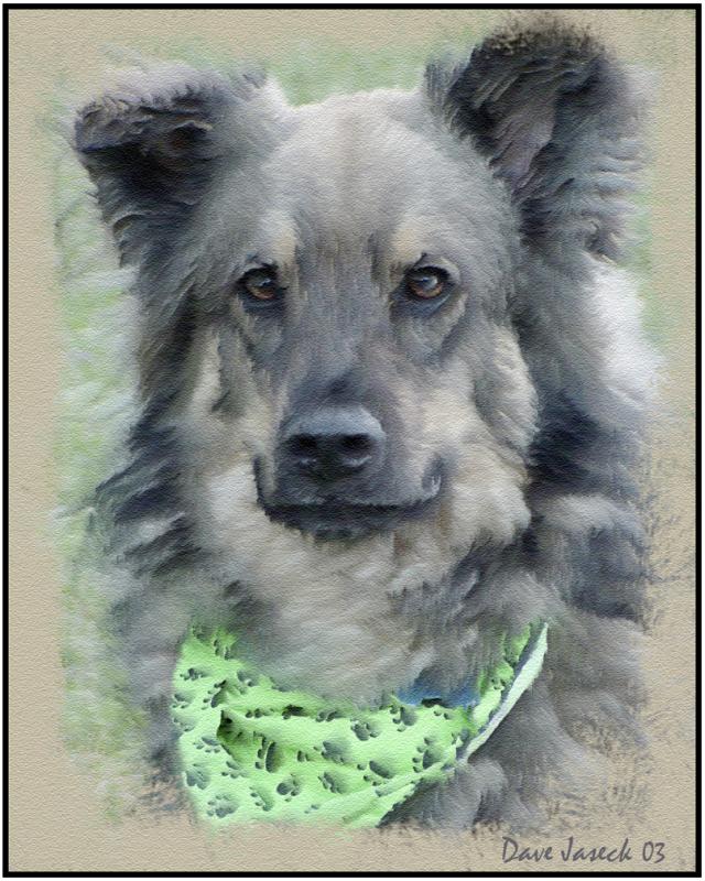 Dog Art.jpg
